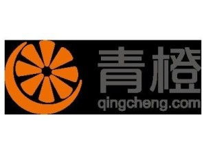 上海青橙實(shí)業(yè)與上海實(shí)業(yè) 探究企業(yè)名稱(chēng)背后的戰(zhàn)略定位與市場(chǎng)角色